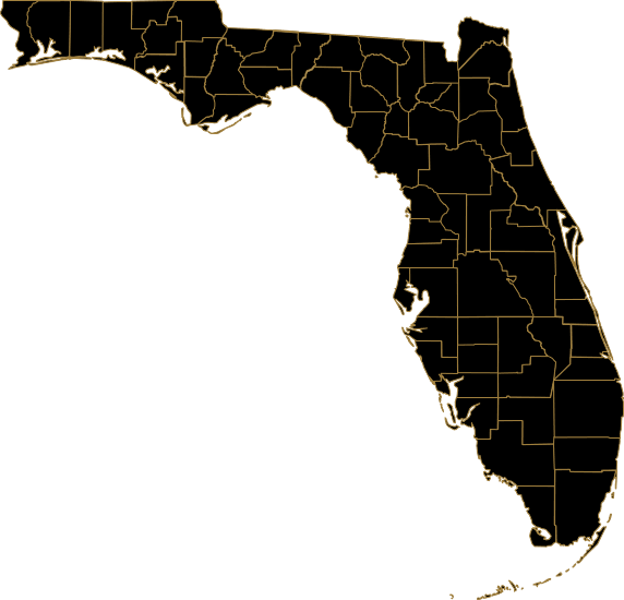 graphic of state of florida